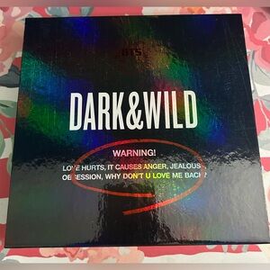 BTS Dark & Wild